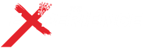 The Experience 21