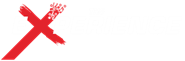 The Experience 21